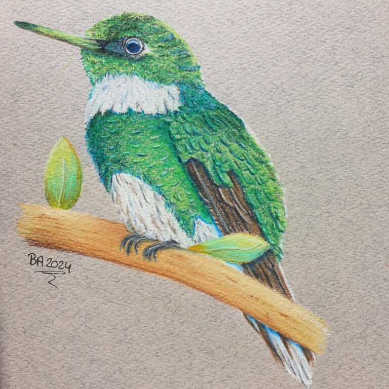 20240325_160921 small